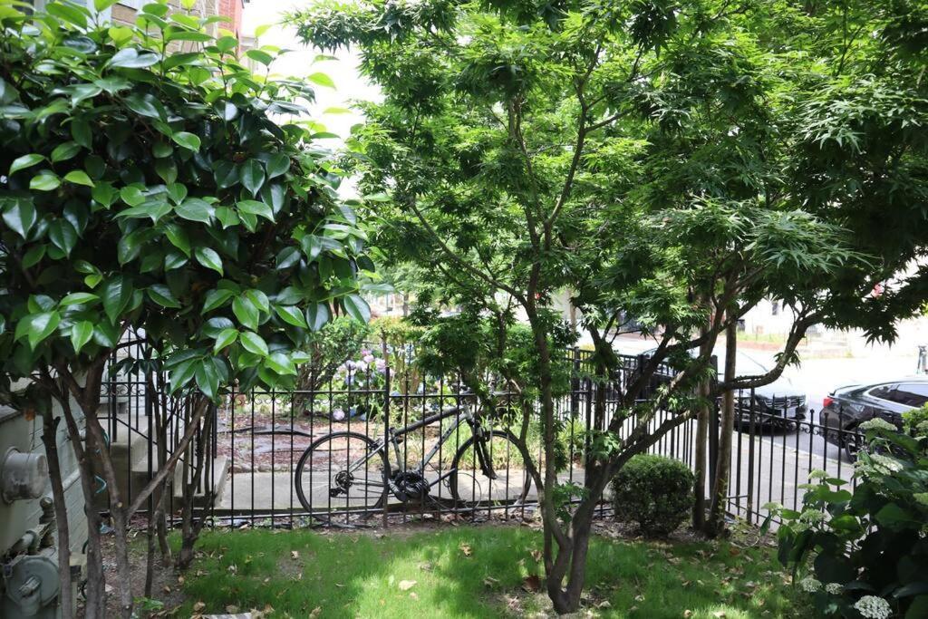 3-Bedroom House With Cute Patio Explore Dc On Foot Washington Exterior photo